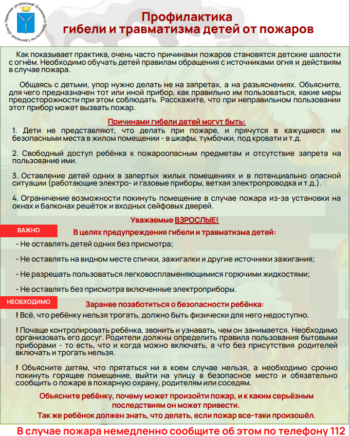 Профилактика гибели и травматизма детей от пожаров.